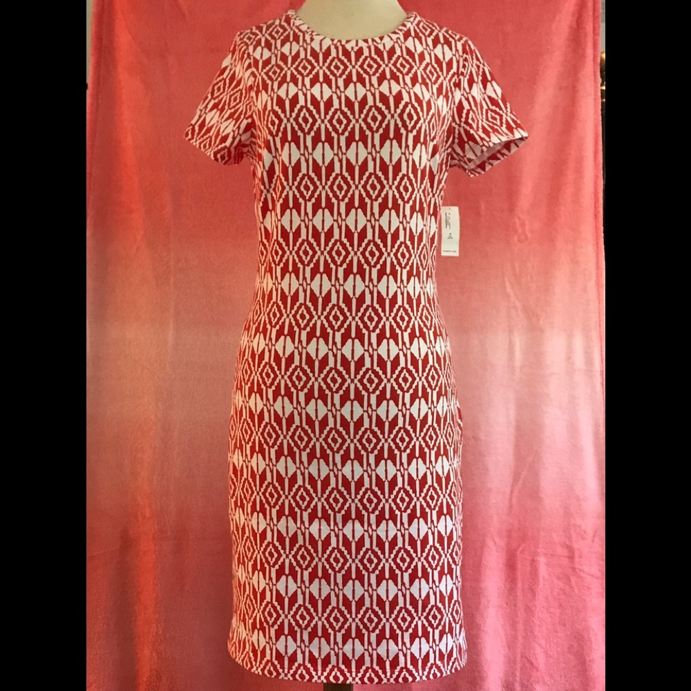 BRAND NEW- Cotton Knit Dress